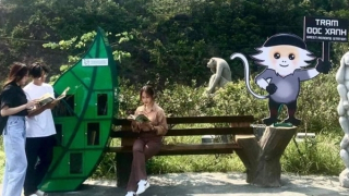 Độc đáo "Trạm đọc xanh" trên bán đảo Sơn Trà phục vụ người dân và du khách